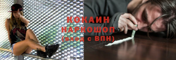 МДПВ Протвино
