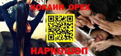 крисы Моздок