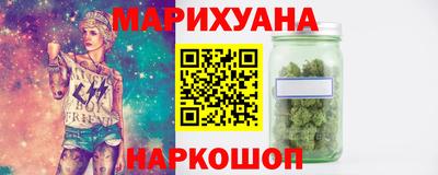 крисы Моздок