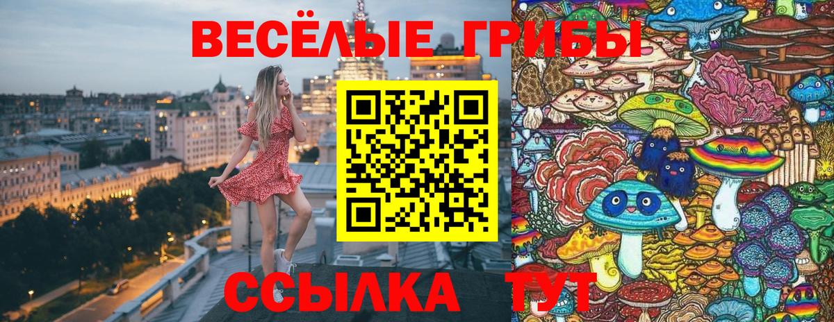 Псилоцибиновые грибы мицелий  Вход с VPN  Аксай 
