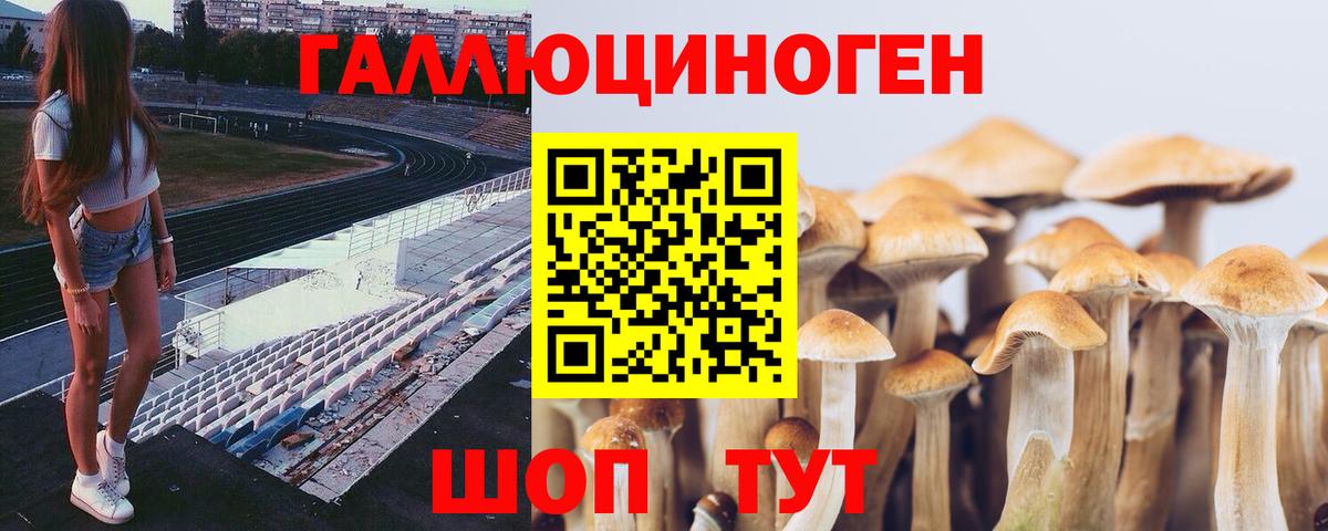 Галлюциногенные грибы MAGIC MUSHROOMS Аксай